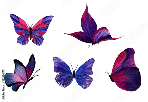 a set of lilac  purple  and blue butterflies. top and side view. watercolour. Bitmap illustration isolated on a white background