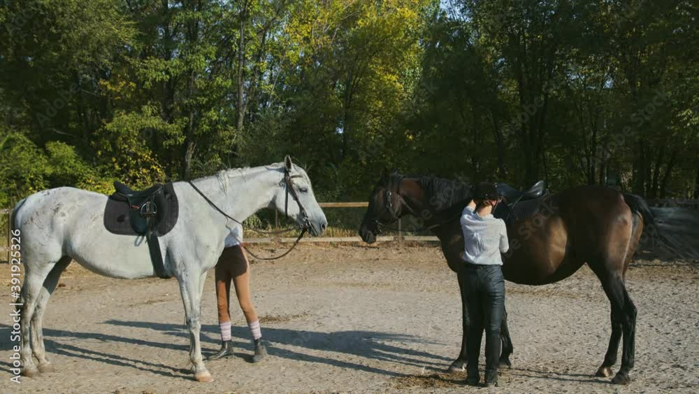 Two Female riders in riding clothes and helmets prepare to ride on their horses Two Female riders in riding clothes and helmets prepare to ride on their horses