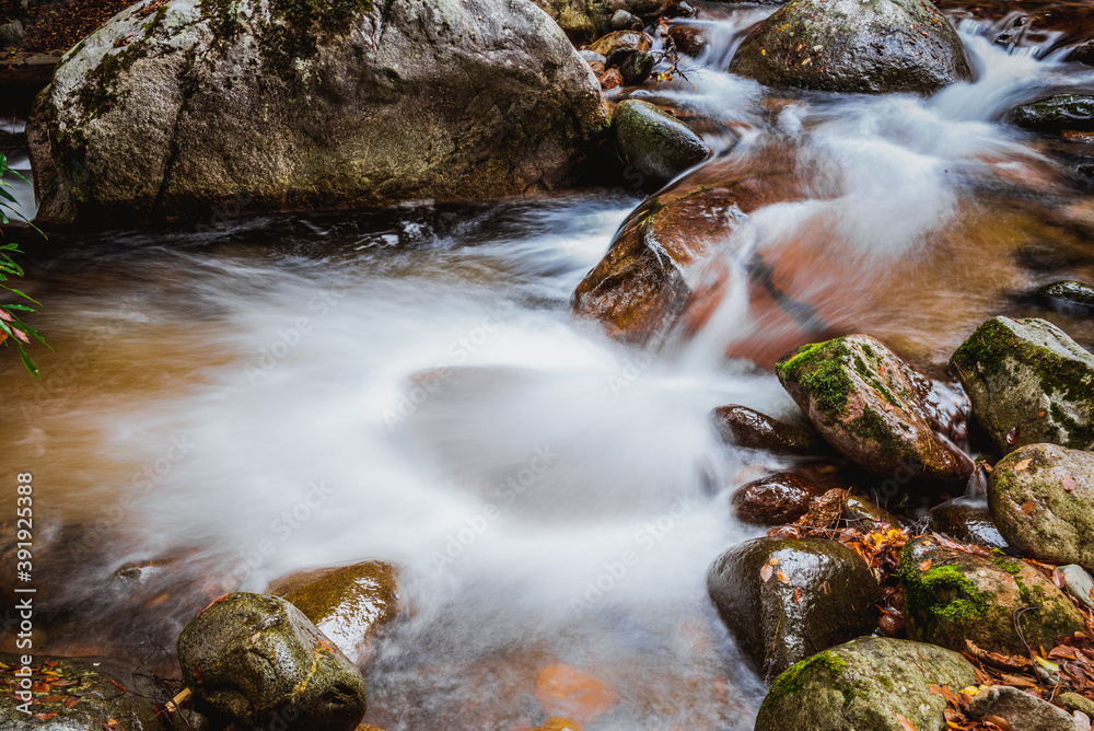 Close-up scenery of stream in forest Close-up scenery of stream in forest