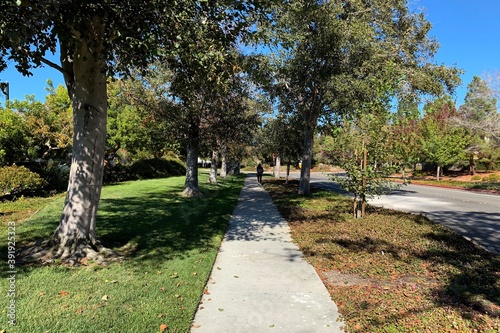 アメリカの計画住宅地：レッドウッド・ショアーズの街並み