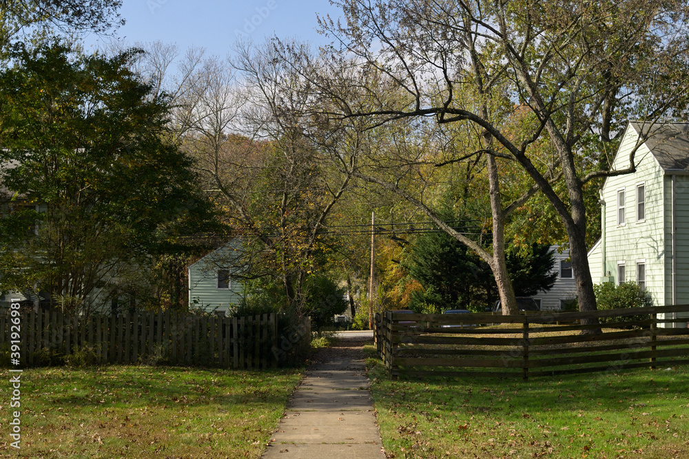 ニューディール政策によって開発されたアメリカの郊外住宅地：グリーンベルトの街並み
