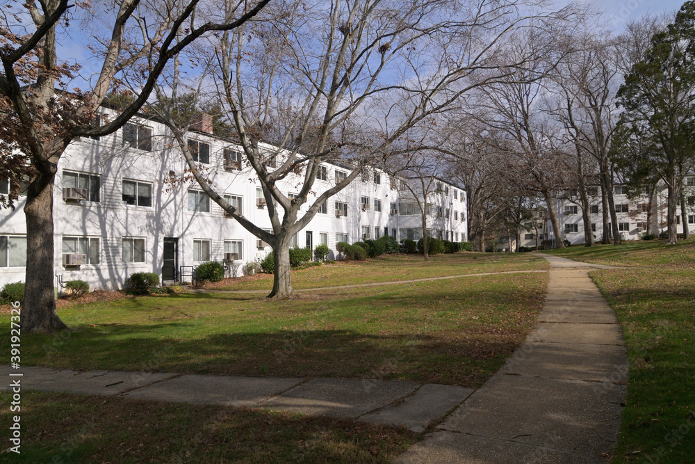 ニューディール政策によって開発されたアメリカの郊外住宅地：グリーンベルトの街並み