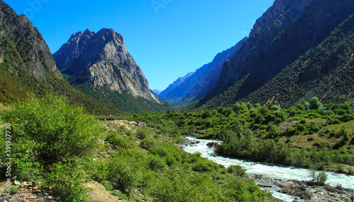 Mountain stream close-up, beautiful valley scenery © ZHI