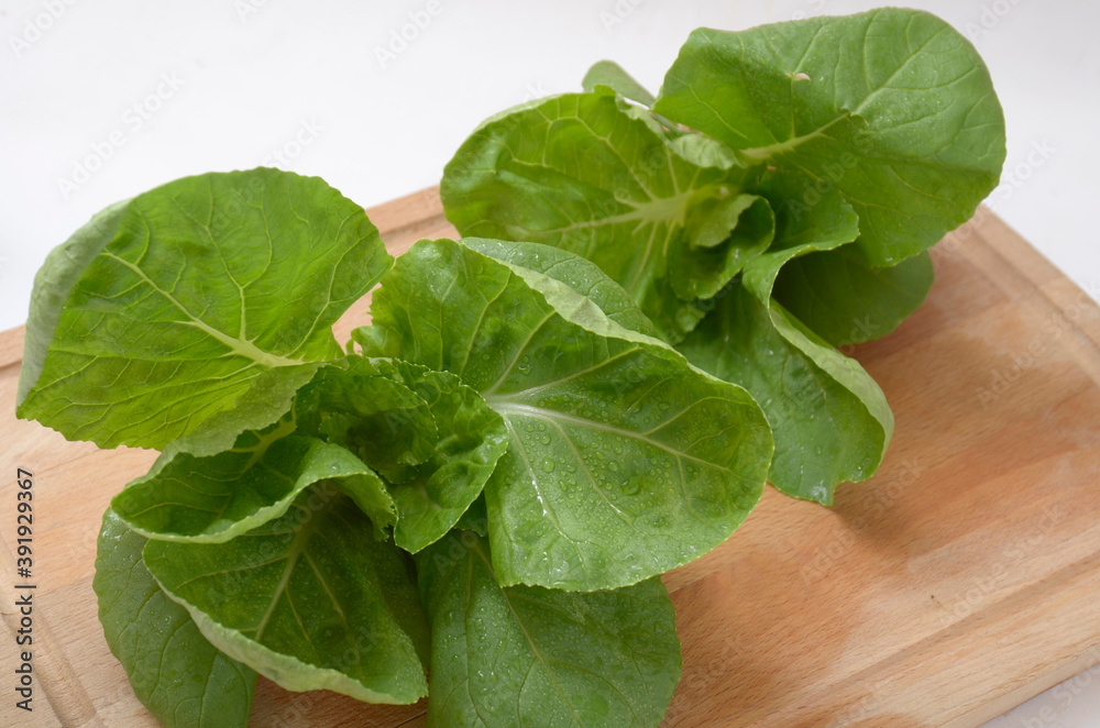 This mustard Green vegetables, organic and hydroponic This mustard Green vegetables, organic and hydroponic