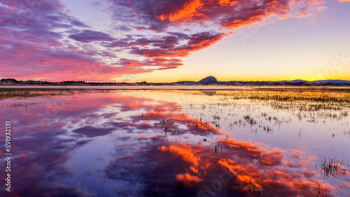  Reflection of golden clouds in wetland park, beautiful natural scenery