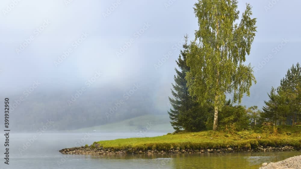 Norwegian landscape, lake and trees in fog