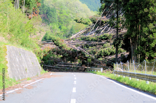 山が崩れ道路が塞がれた