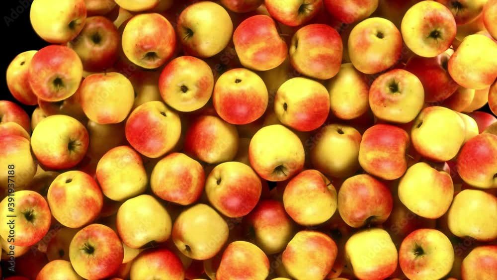 Falling Apples Transition effect with alpha channel. 3D rendering