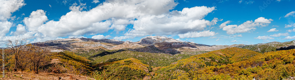 Panoramic view of the mountains of Serrania de Ronda and the chestnut forest in autumn. Trekking route, scenic, around the villages of Parauta, Cartajima and Igualeja in Malaga, Spain
