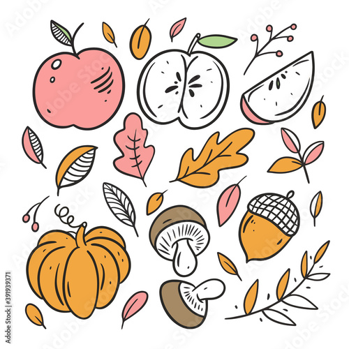 Autumn food elements set. Line art colorful style.