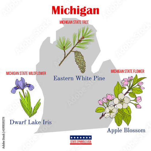 Michigan. Set of USA official state symbols