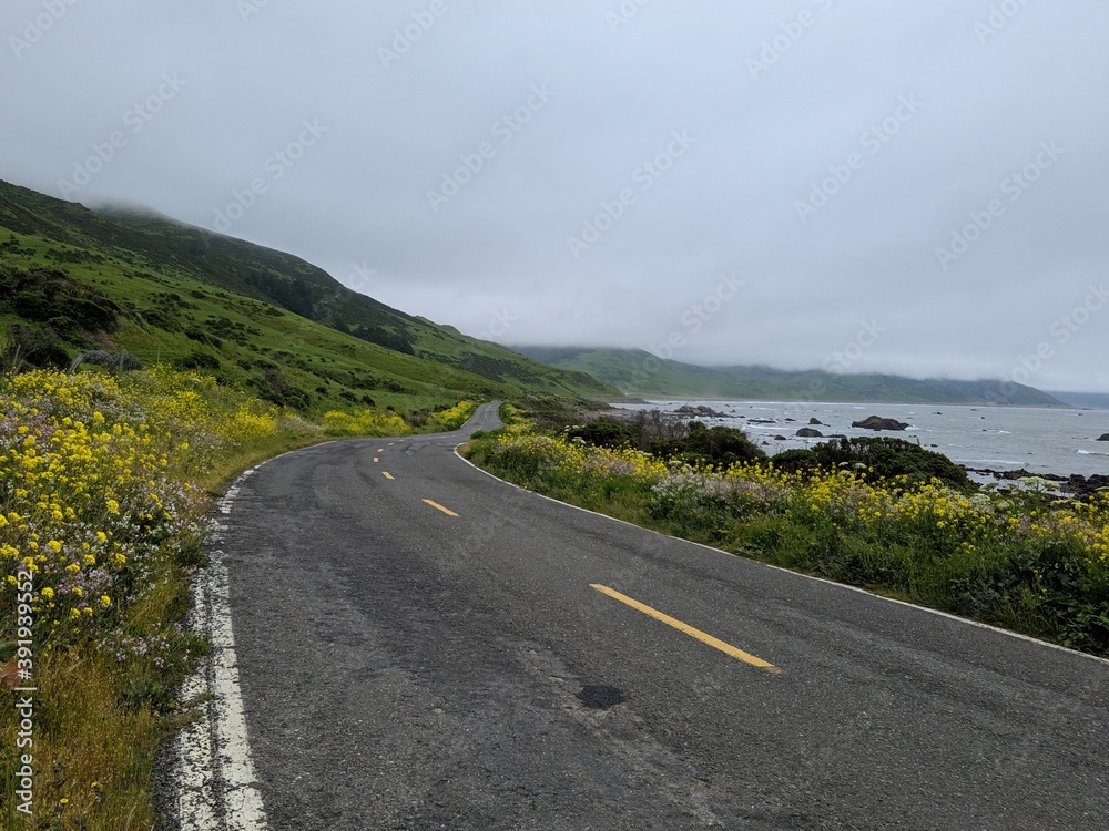 Lost Coast California