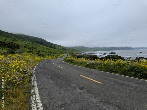 Lost Coast California