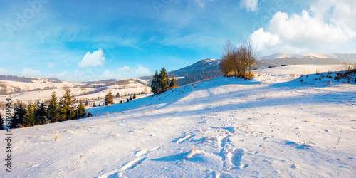 mountainous rural landscape in wintertime. wonderful frosty sunny day. trees on the snow covered hills. © Pellinni