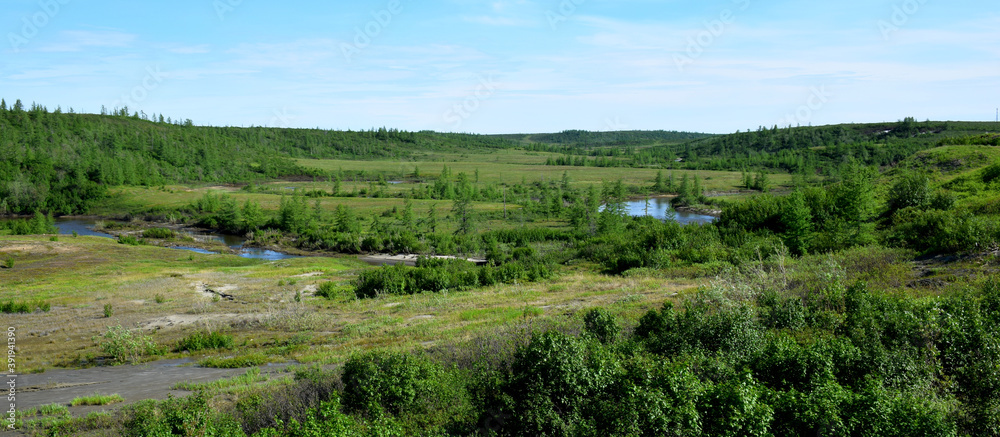 tundra landscape with river