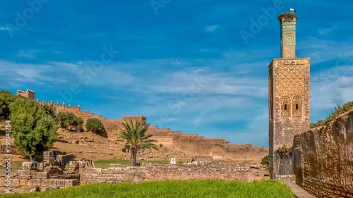 Inside thefortified walls of the archaeological site of Chellah in Rabat Morocco, where ancient ruins of a Roman settlement remain, and a 13th century mosque minaret stands with a stork nest on top.