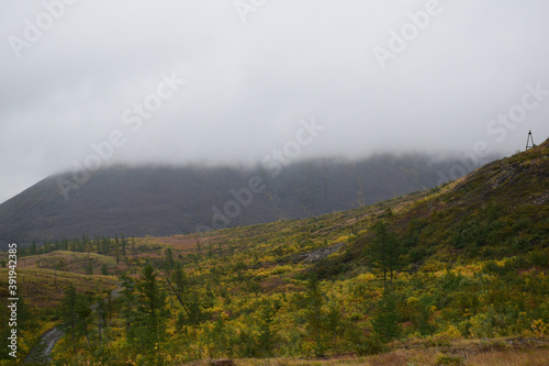 fog in the mountains