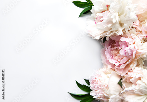 Fototapeta Naklejka Na Ścianę i Meble -  Peony flowers on a white background