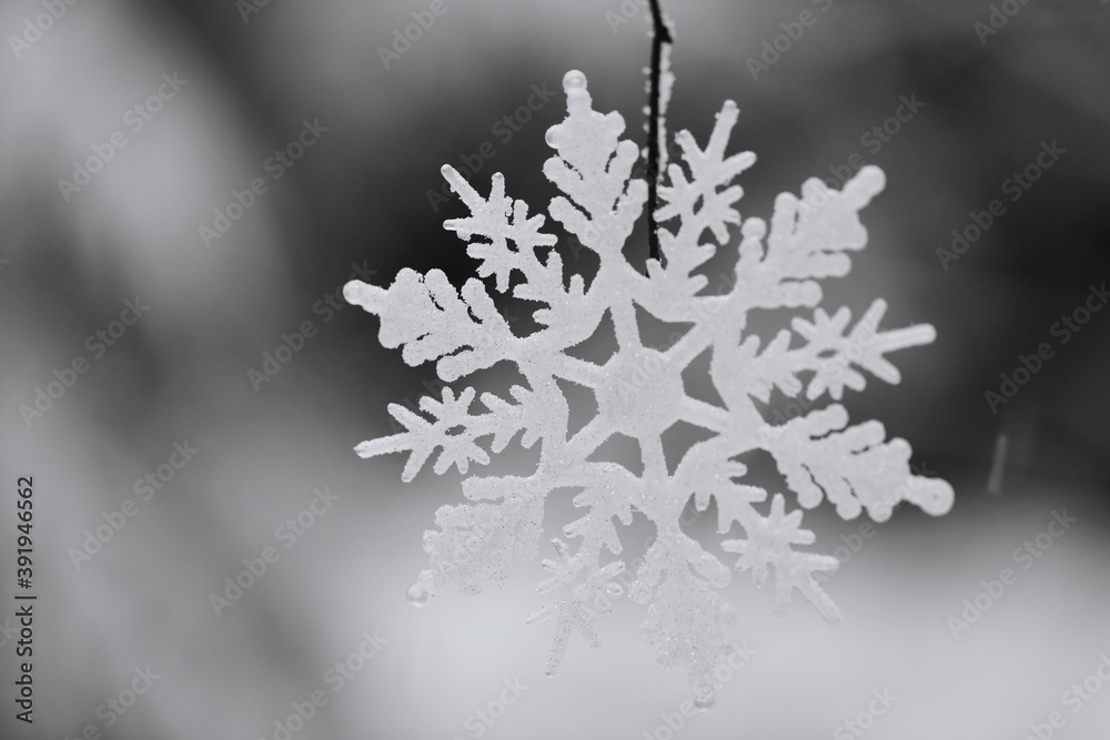 Winter season. Winter holidays time. White decorative snowflake on a snowy forest  background. Snowflake and fir trees in the snow in the winter forest. Winter beautiful nature background