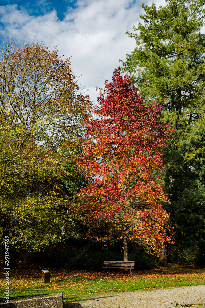 Herbstland