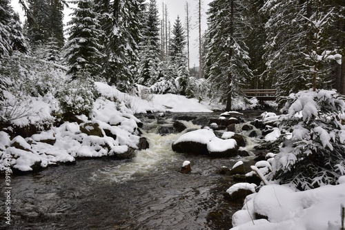 Prasily Stream is a small river in Bohemian Forest, Czech Republic in Prasily town. It is shown in winter, covered in snow in a forest. photo