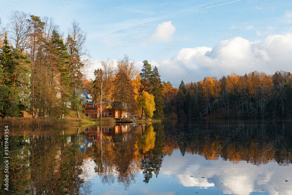 Obraz premium Fall time bright colors around the lake in the forest. Nelijarve, Estonia.