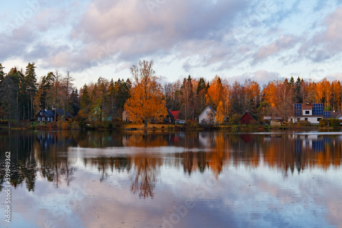 Fall time bright colors around the lake in the forest. Nelijarve, Estonia. photo