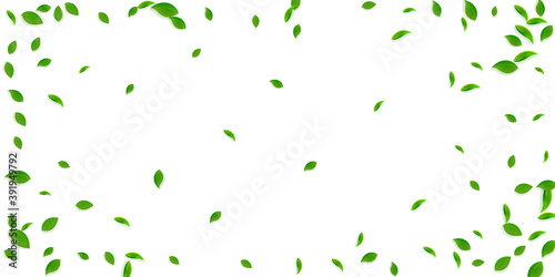 Falling green leaves. Fresh tea chaotic leaves fly