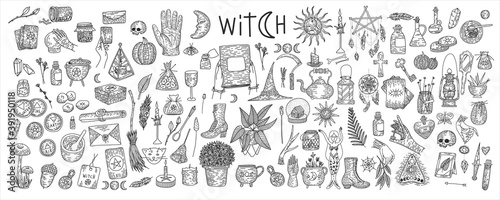 Supernatural magic collection of magical elements. Witch s things  vintage retro engraving style  vector graphics