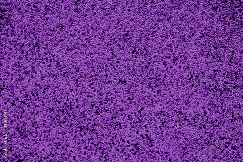 Natural violet colored granite stone texture-background