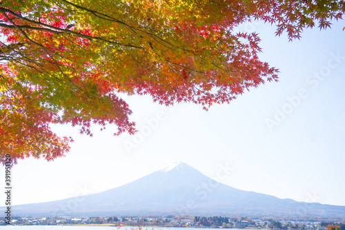 富士山 紅葉 河口湖 2020年11月