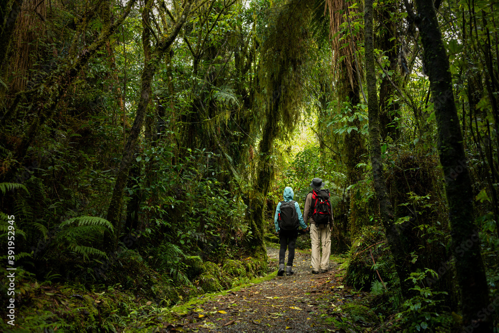 Couple walking in the forest on Carew Falls track in the Lake Brunner/Moana area, South Island, New Zealand Couple walking in the forest on Carew Falls track in the Lake Brunner/Moana area, South Island, New Zealand