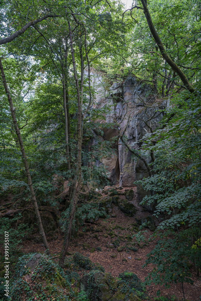 View on a opright overgrown rock wall in a forest. View on a opright overgrown rock wall in a forest.