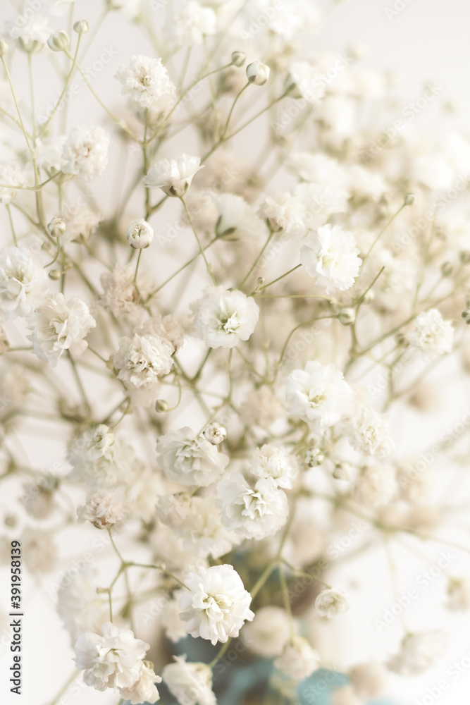 Bouquet gypsophila white tiny flowers with colorful blue vase and ribbon macro retro style Bouquet gypsophila white tiny flowers with colorful blue vase and ribbon macro retro style