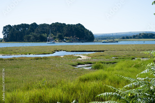 View Of Boats In The Channel And Brownsea Island