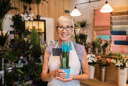 Portrait of senior female florist in her flower shop holding houseplant in her hands and looking at camera.