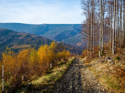 Fototapeta Naklejka Na Ścianę i Meble -  Autumn landscape of the Beskids mountains. Mountain trails in the Beskids in Poland.