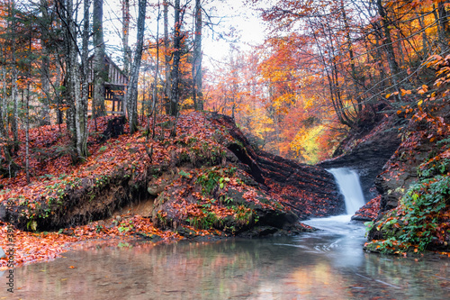 Autumn mountain waterfall in the rocks and colorful red fallen leaves. Lumshory, Transcarpathia, Ukraine photo