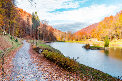 Autumn in the Sherborn park. Colorful leaves on the trees and sun shining in warm fall weather. Voevodino, Turia Paseka, Transcarpathia, Ukraine. photo