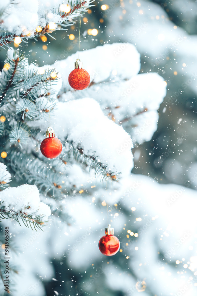 Red balls hang on a branch of a Christmas tree. Photo for greeting ...