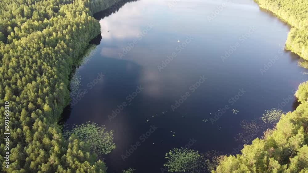 Top view of the lake in a deep fir forest. Taken from a quadcopter Top view of the lake in a deep fir forest. Taken from a quadcopter