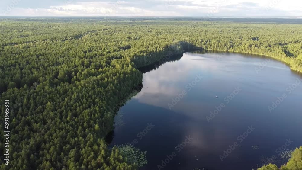 Top view of the lake in a deep fir forest. Taken from a quadcopter Top view of the lake in a deep fir forest. Taken from a quadcopter