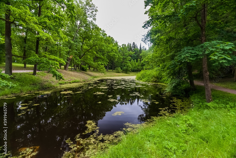 Summer landscape in a city Park with trees, grass, river, sky with clouds Summer landscape in a city Park with trees, grass, river, sky with clouds