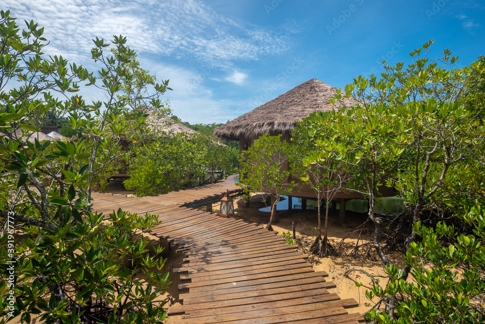 Small huts in mangrove forest in Thailand. Small huts in mangrove forest in Thailand.