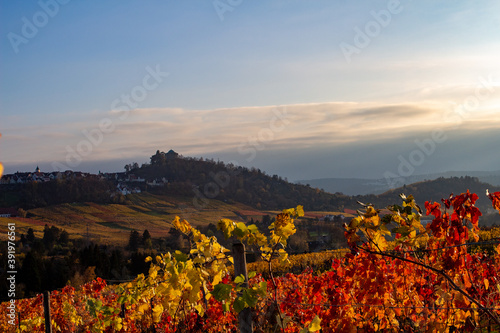 Weinberge mit ausblick auf Stuttgart Rotenberg die Grabkapelle im Herbst © carolindr18