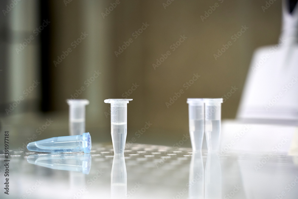 collection of patient tests in the laboratory collection of patient tests in the laboratory