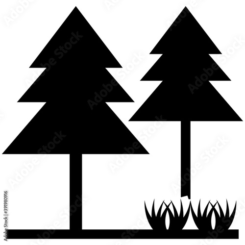 
A copse palm trees or beach trees
