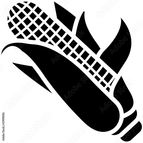 
Ripe corn cob
