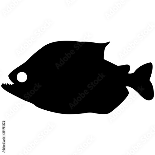 
A saltwater common fish
