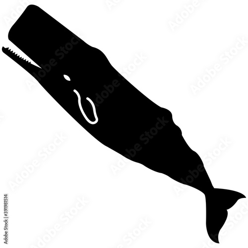 
A saltwater common fish
